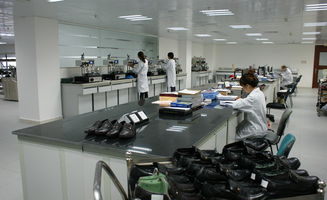 東莞豐信Sedex輔導與房產咨詢 權威專業，助力企業合規與資產增值