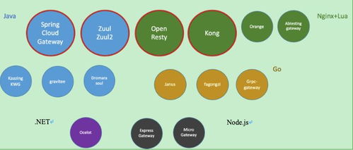 百億流量微服務(wù)網(wǎng)關(guān) 架構(gòu)設(shè)計與技術(shù)實現(xiàn)之路