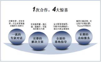 雙百行動(dòng) 引領(lǐng)發(fā)展的專業(yè)信息咨詢服務(wù)